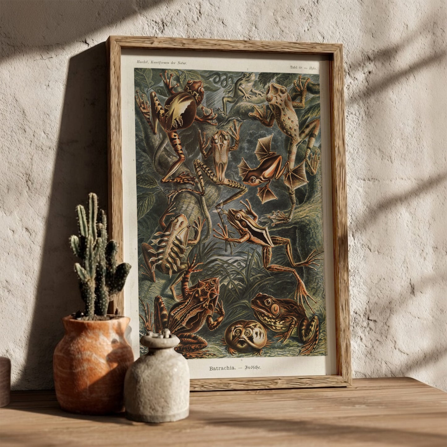 Vintage scientific illustration poster of various Batrachia frogs in earthy tones, detailed and naturalistic.