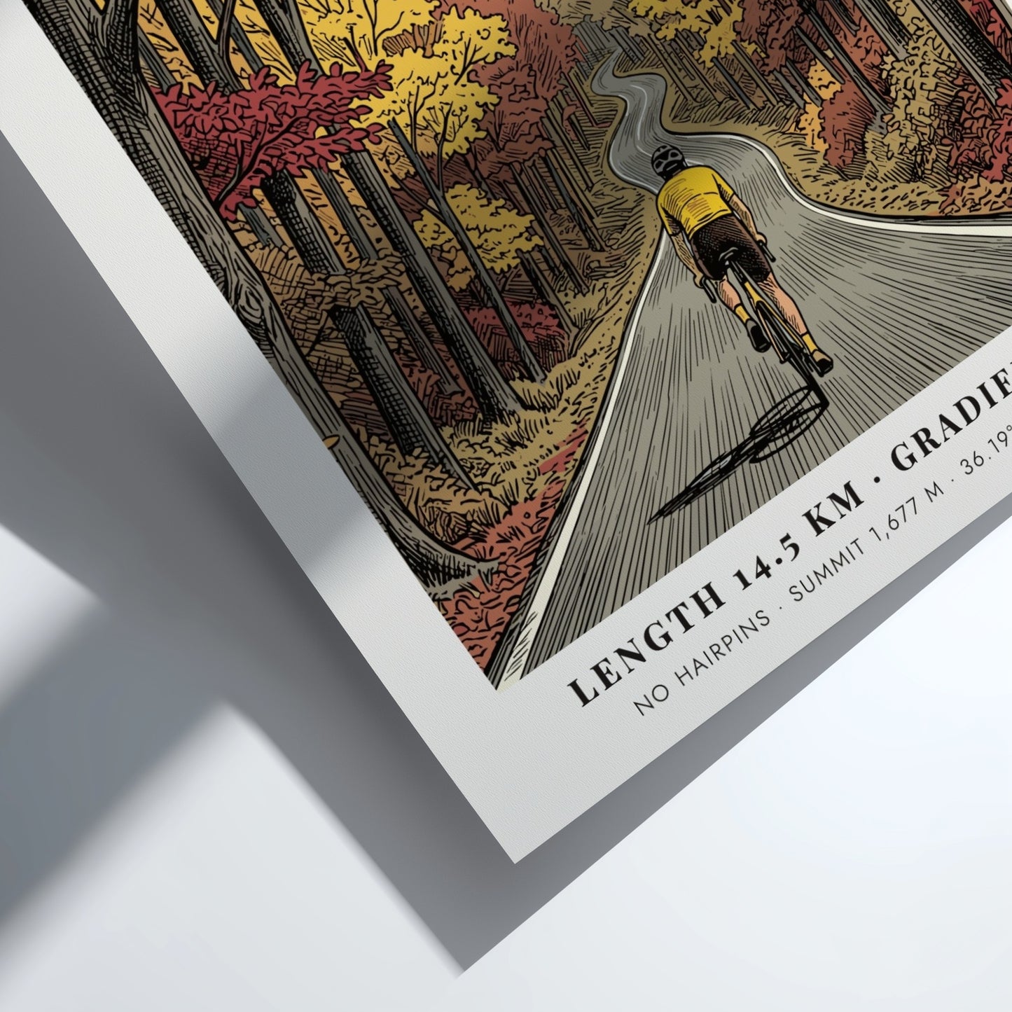 Poster of a cyclist riding up a winding Beech Mountain road in autumn