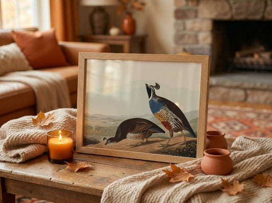 California Partridge poster featuring vintage bird art in earthy tones, perfect for wall decor and