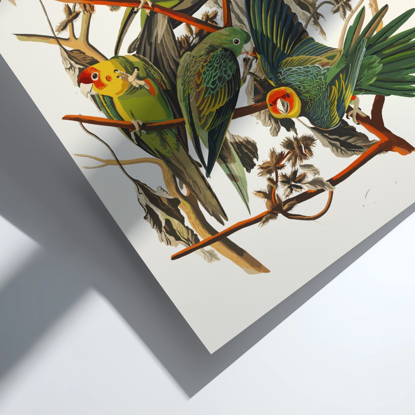Carolina Parrot poster featuring vibrant green and red birds in a vintage style, perfect for bird lovers and