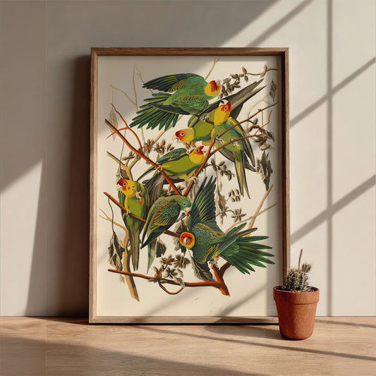 Carolina Parrot poster featuring vibrant green and red birds in a vintage style, perfect for bird lovers and
