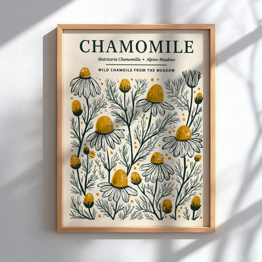 Chamomile kitchen poster featuring delicate flowers in soft whites and warm yellows, botanical style wall art.
