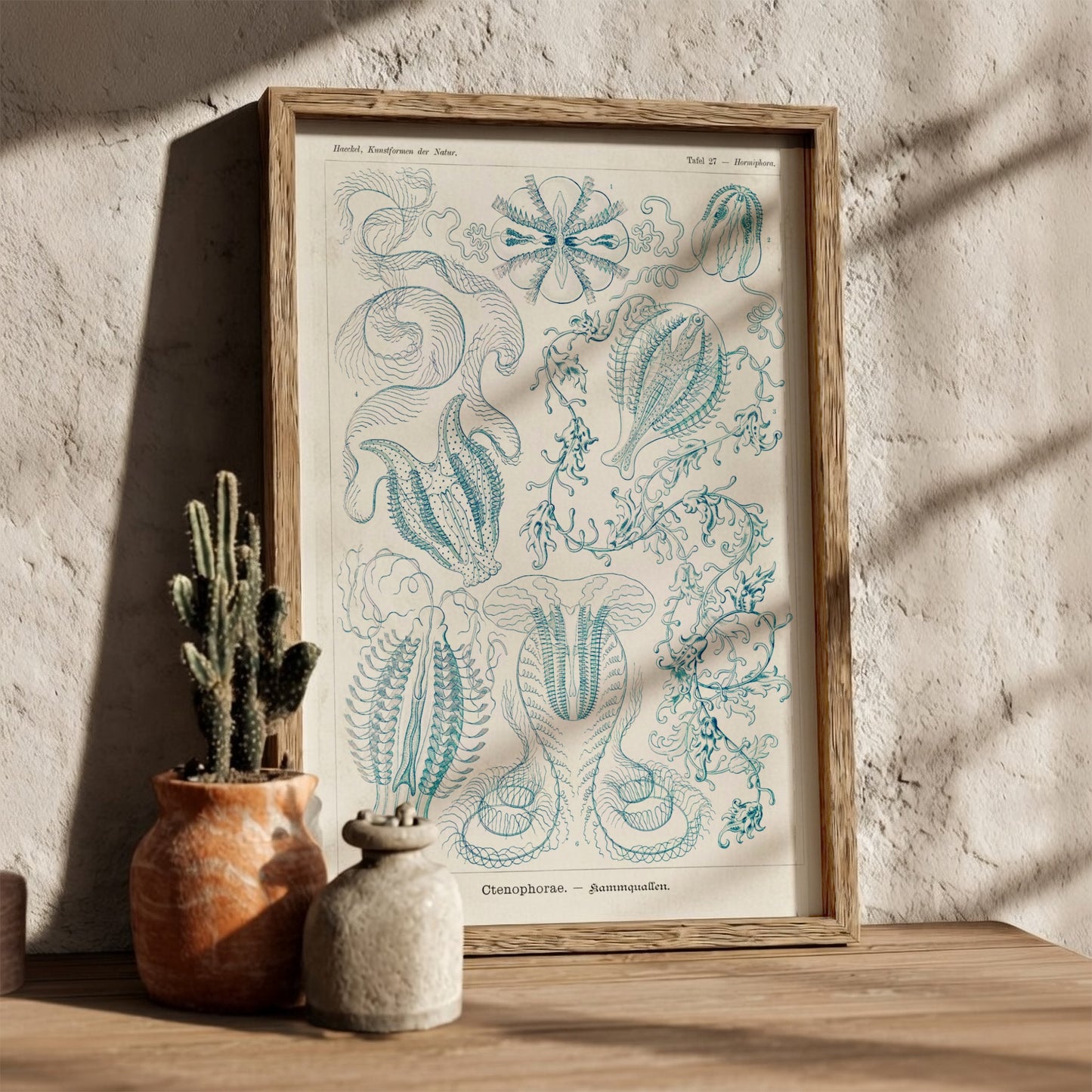 Vintage Ctenophorae Kammquallen poster featuring detailed blue linework illustrations of marine life by Ernst