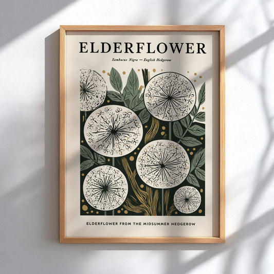 Elderflower kitchen poster featuring delicate blooms and earthy tones, perfect for botanical decor.
