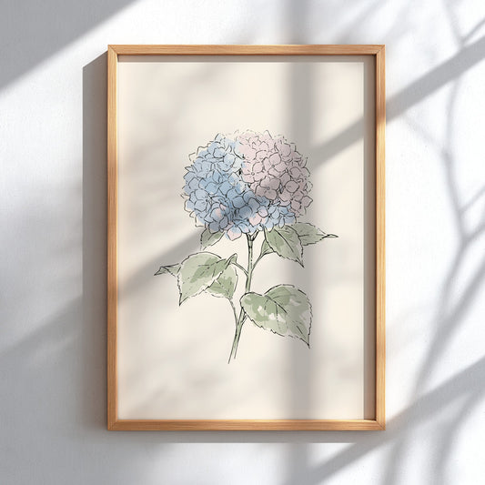 Hydrangea botanical illustration poster featuring soft blue and pink petals on a cream background.