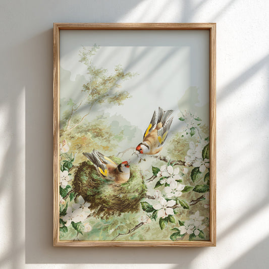 Vintage poster of Gold Finches in an apple tree nest, featuring soft greens, browns, and white blossoms.