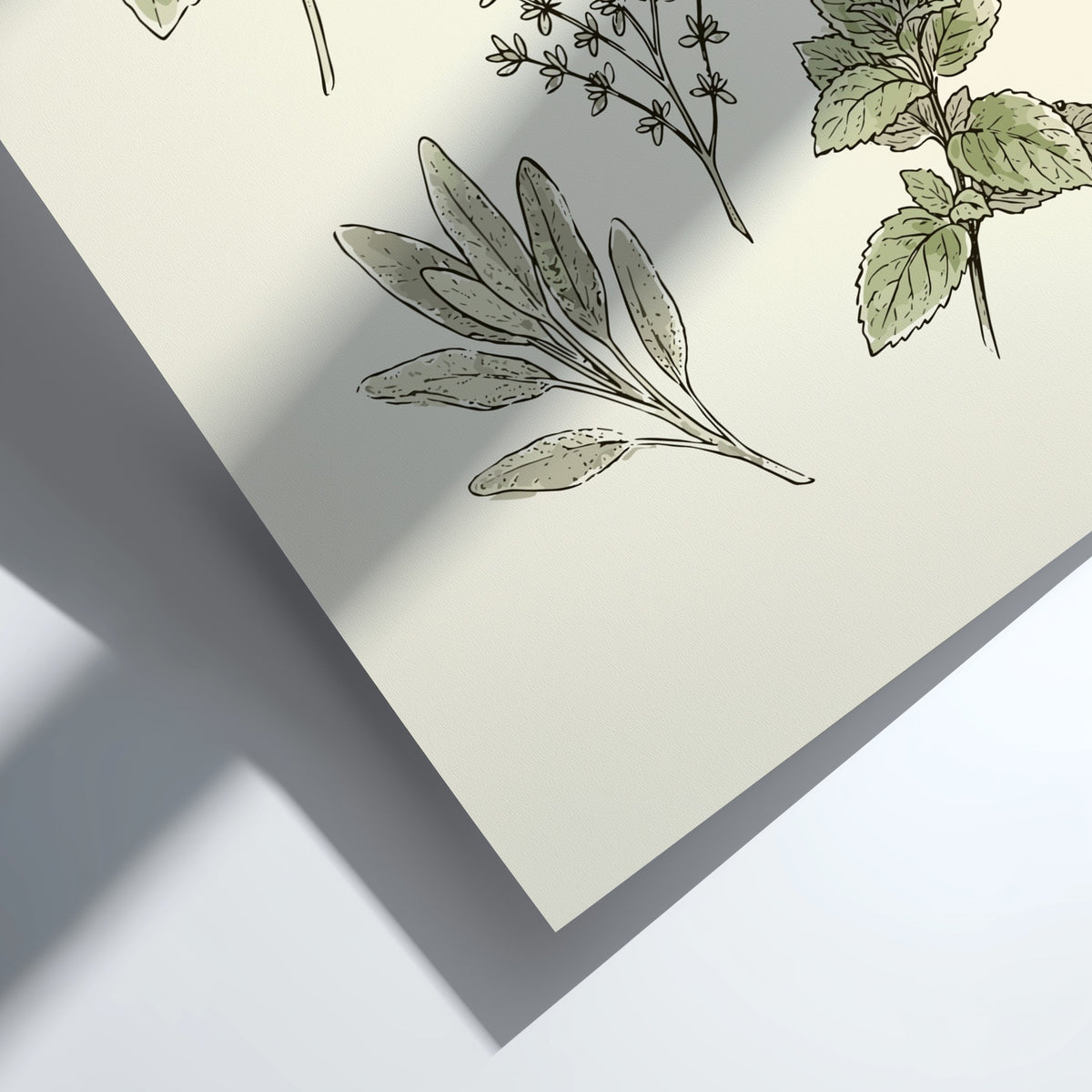 Poster featuring hand-drawn culinary herbs including basil, rosemary, thyme, sage and mint on cream.