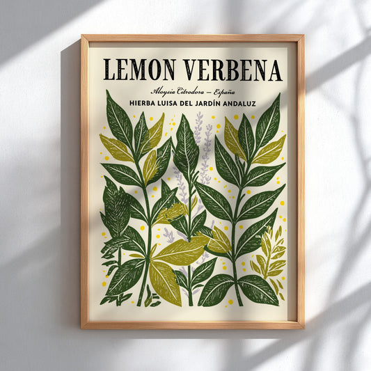 Kitchen poster featuring lemon verbena leaves in green and yellow tones, botanical style, perfect for home
