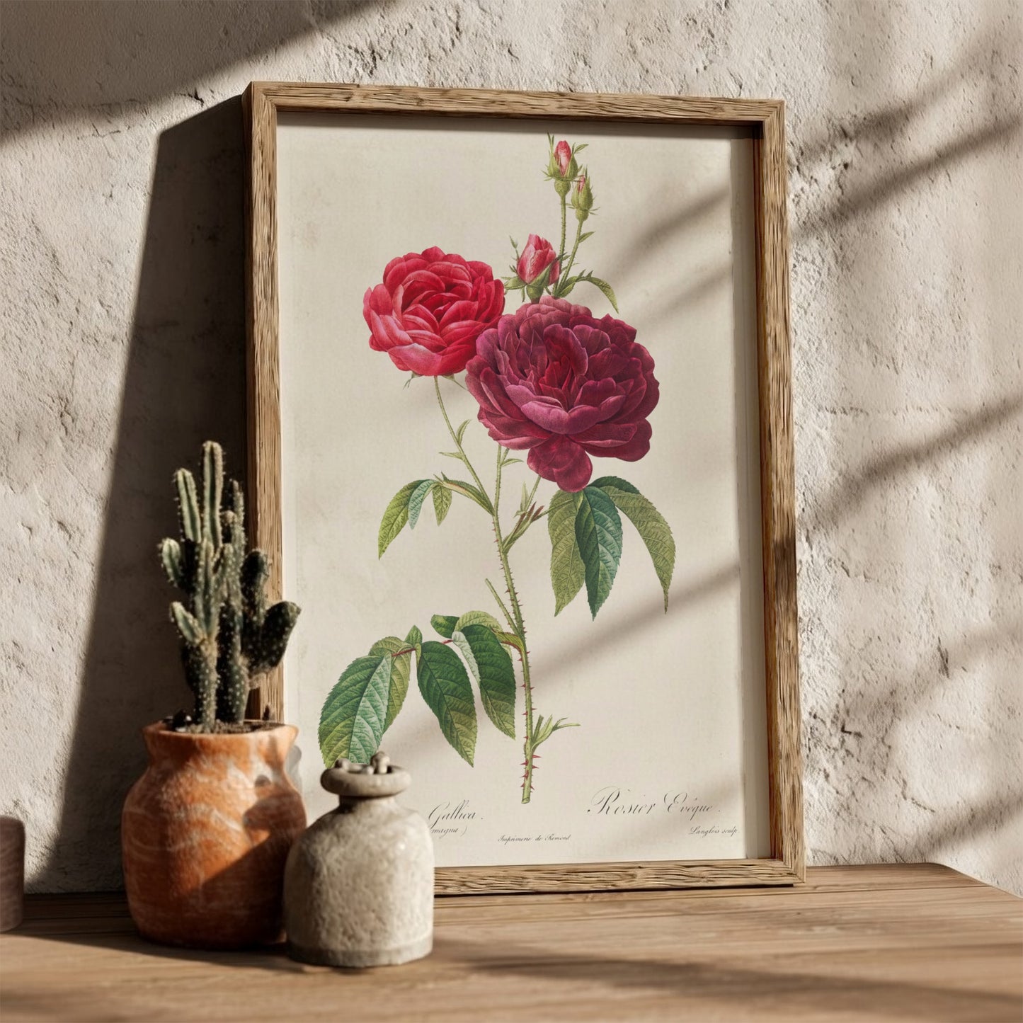 French Rose botanical art poster featuring a detailed illustration of red and purple roses by Pierre-Joseph