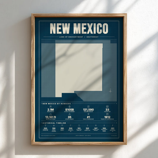 Framed poster of New Mexico with statistical information on a white wall.
