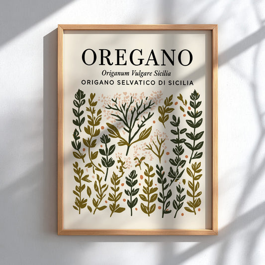 Oregano kitchen poster featuring botanical illustrations in green and earthy tones, perfect for kitchen decor.