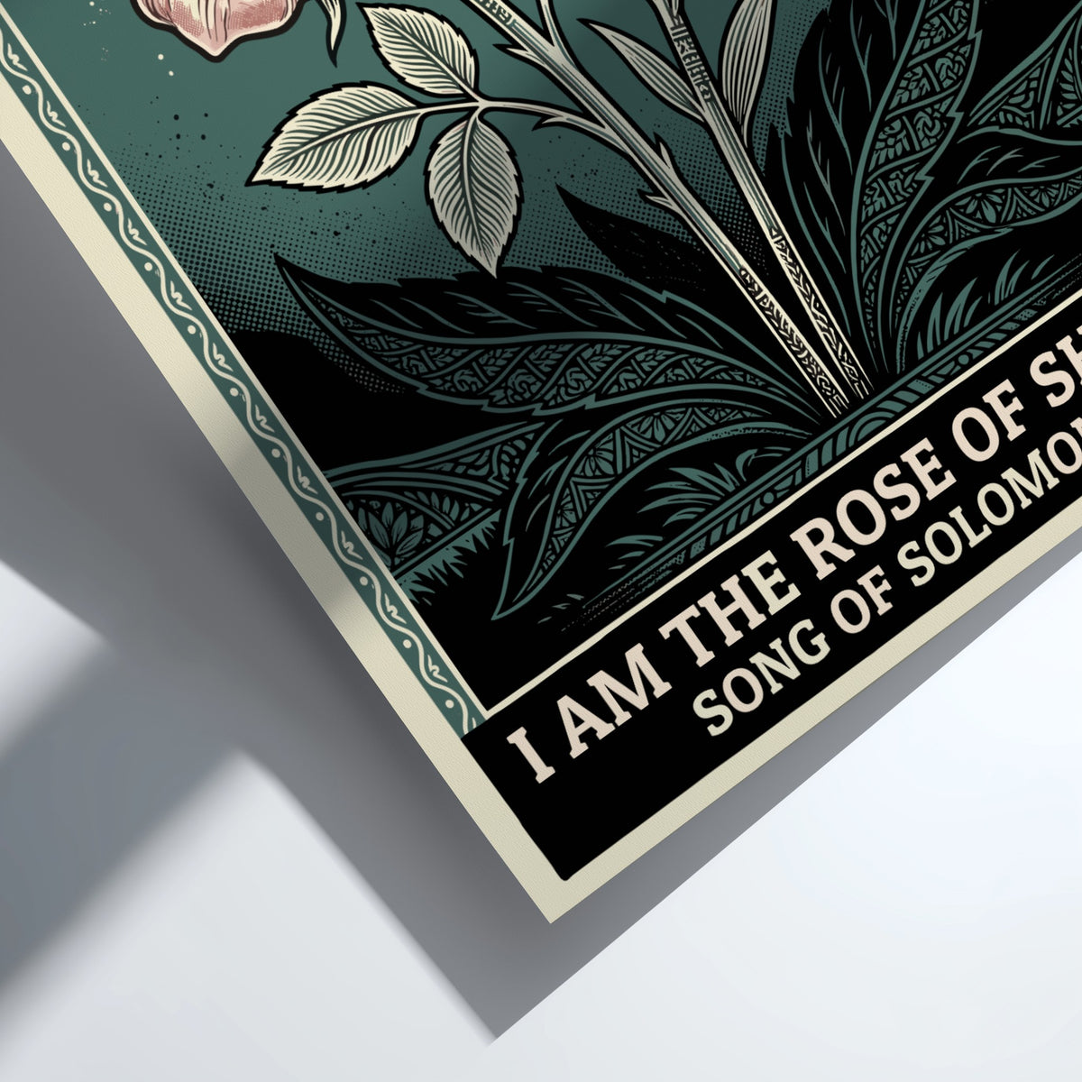 Rose of Sharon botanical poster featuring a pink rose and lily on teal.
