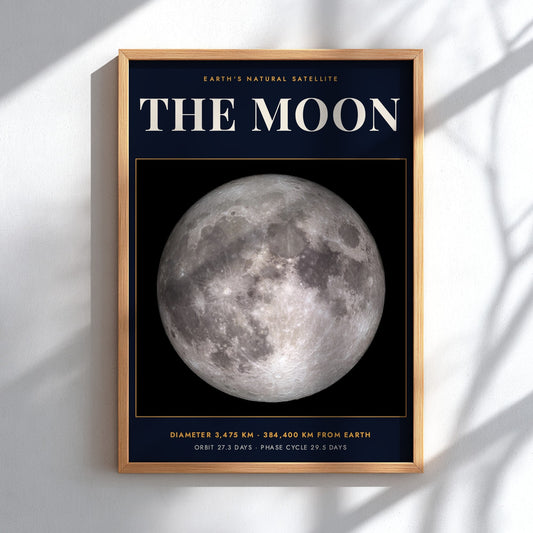 Poster of the Moon against a dark background with white scientific text and data.
