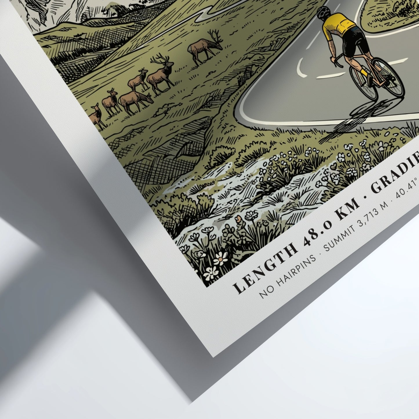 Poster of a cyclist on Trail Ridge Road with elk and mountains behind