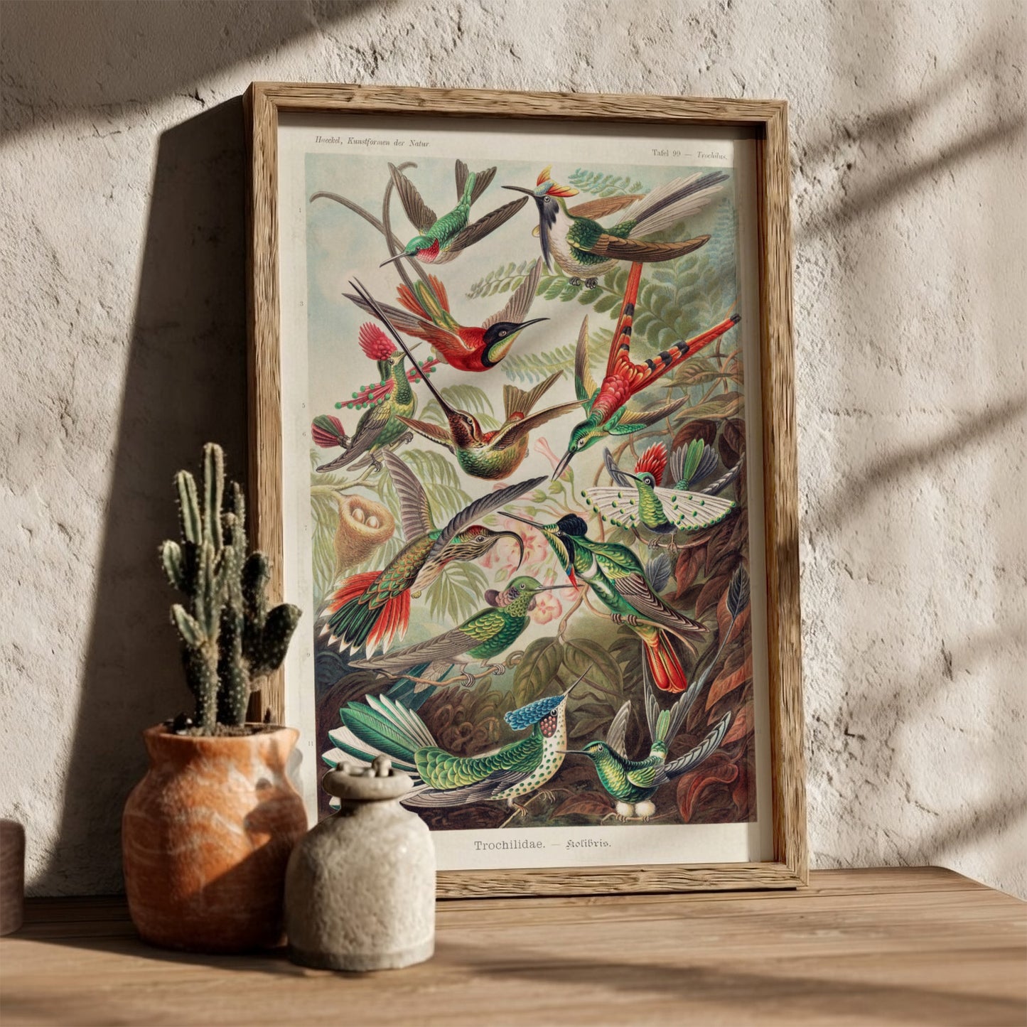 Vintage art poster of various hummingbirds by Ernst Haeckel, detailed scientific illustration.