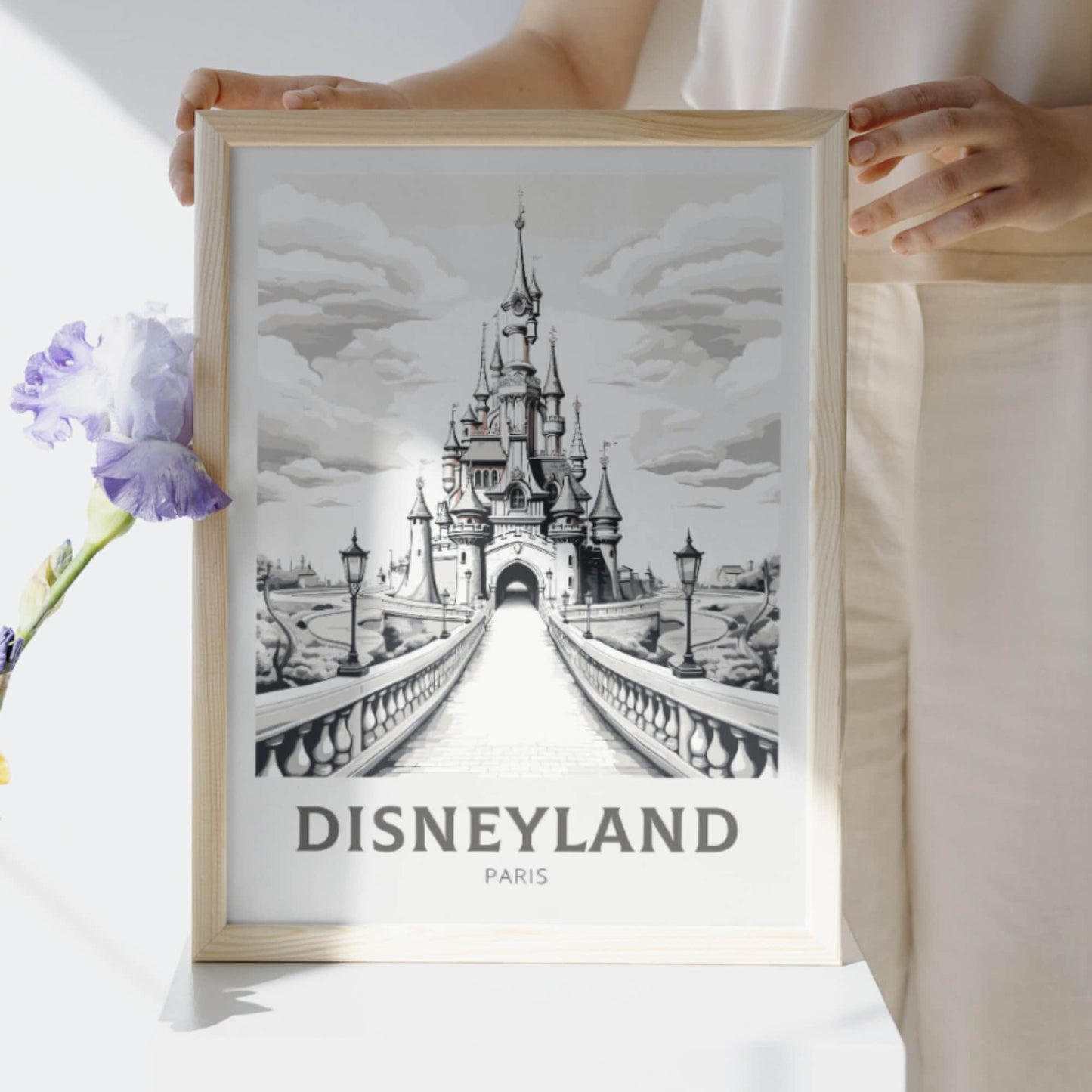 Disneyland Poster