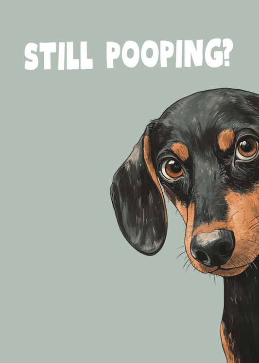 Illustration of a dachshund with text 'STILL POOPING?' on a light gray background