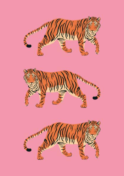 Trio Royale Modern Art - The 3 Tigers in Pink Wall Print