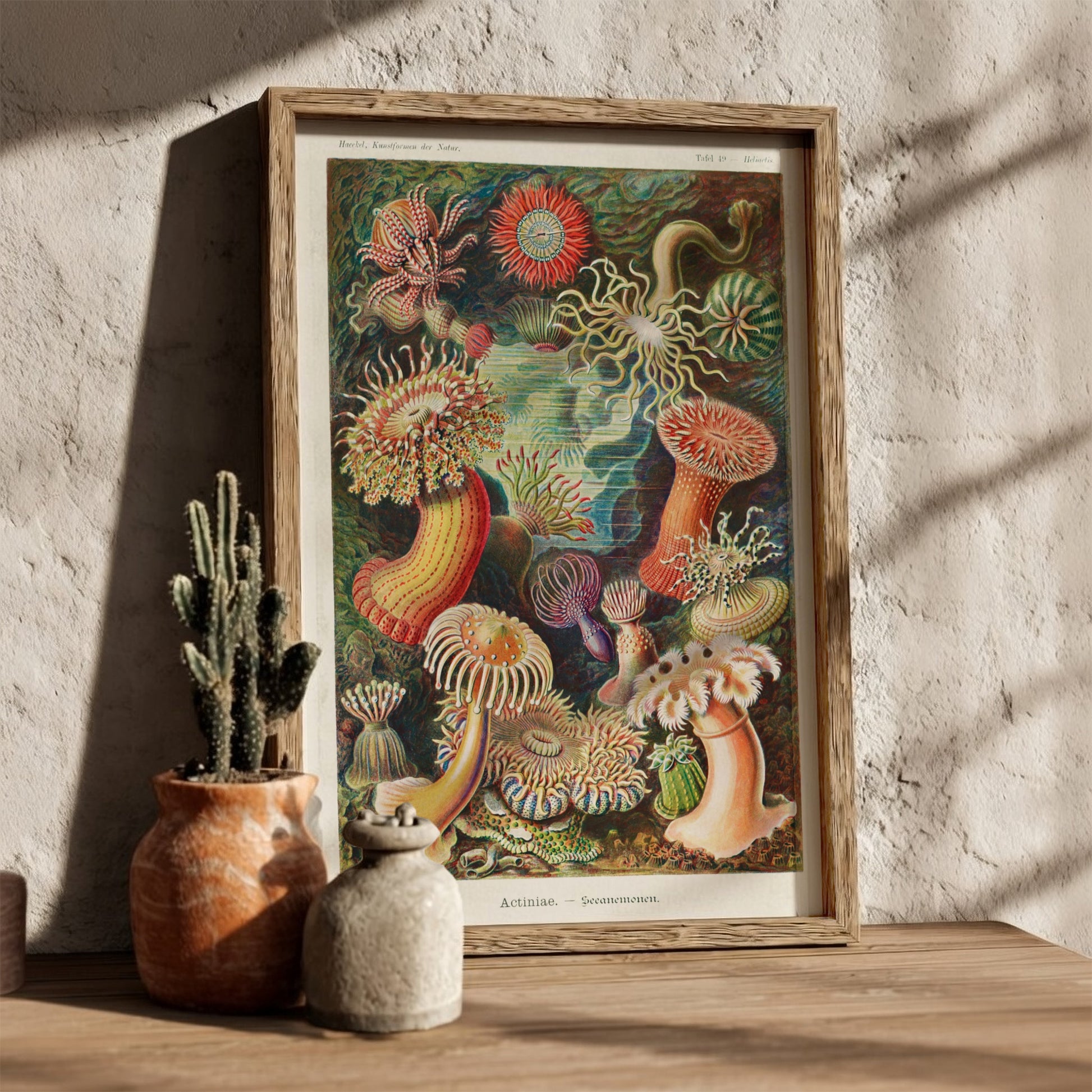 Vintage art poster of various colorful sea anemones, scientific illustration style.