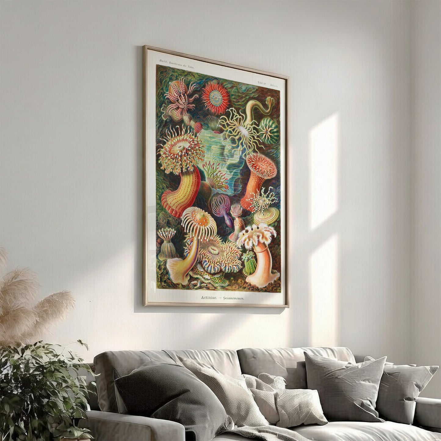 Vintage art poster of various colorful sea anemones, scientific illustration style.