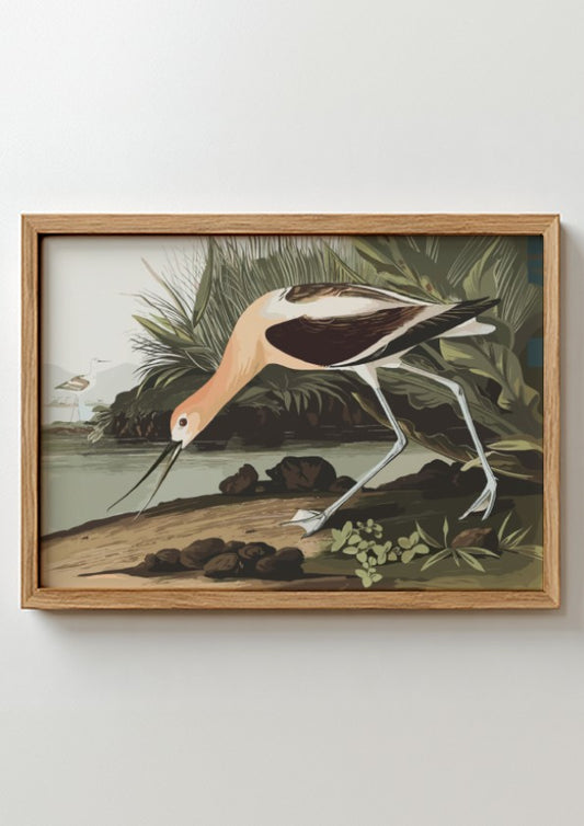 American Avocet art poster featuring earthy tones and detailed wildlife illustration, perfect for nature wall