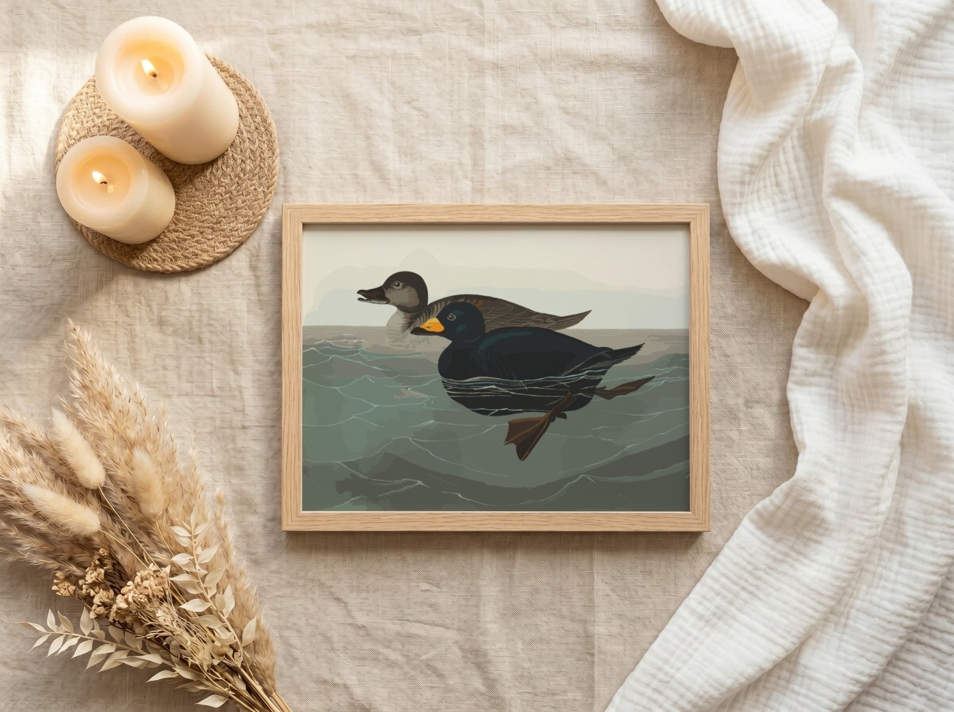 American Scoter Duck poster featuring vintage bird art in earthy tones, perfect for wall decor.