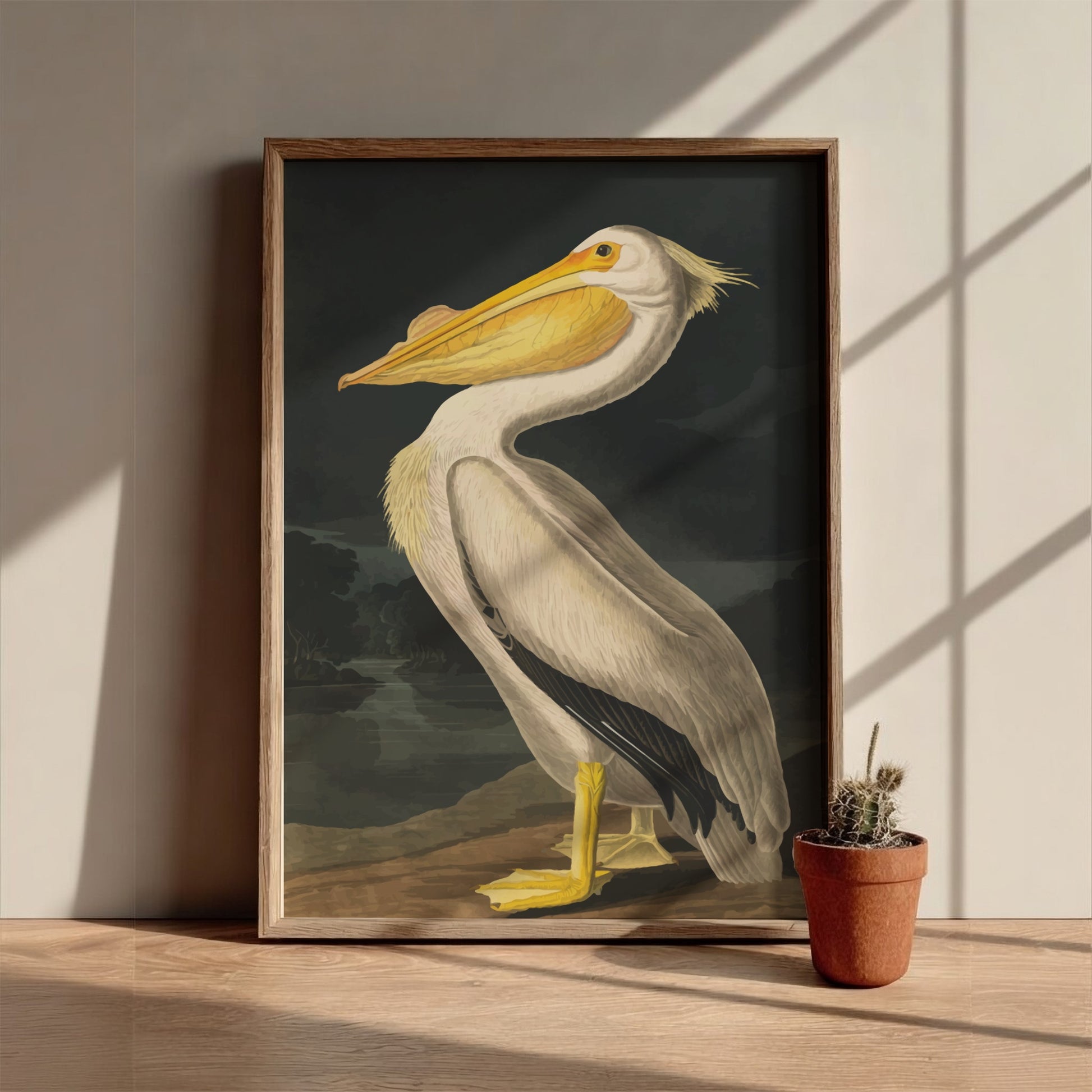 American White Pelican art poster featuring vintage illustration style and natural colors for wall decor
