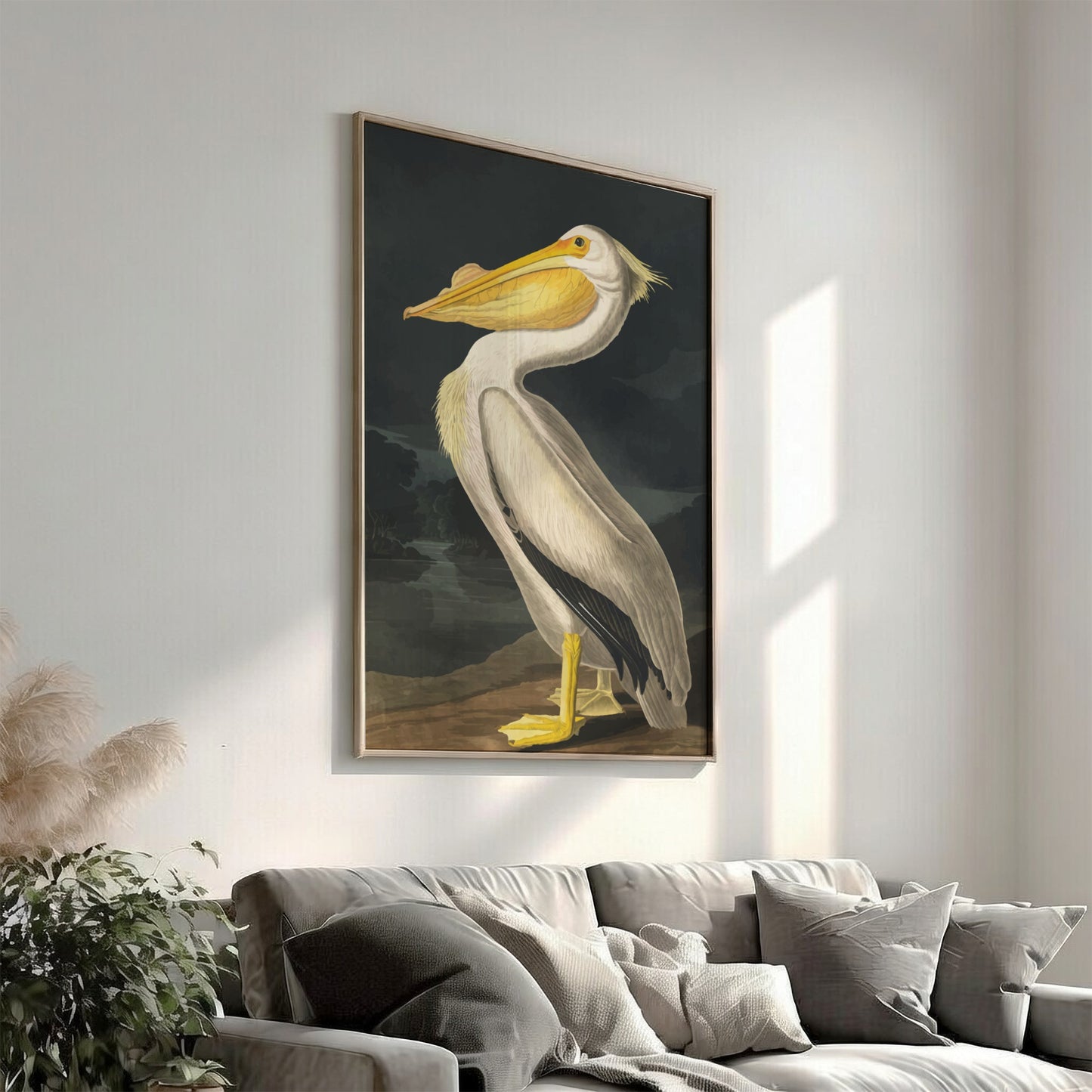 American White Pelican art poster featuring vintage illustration style and natural colors for wall decor