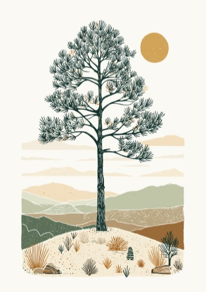 Illustration of an ancient pine tree in a desert landscape with rolling hills and a warm sun, in a minimalist
