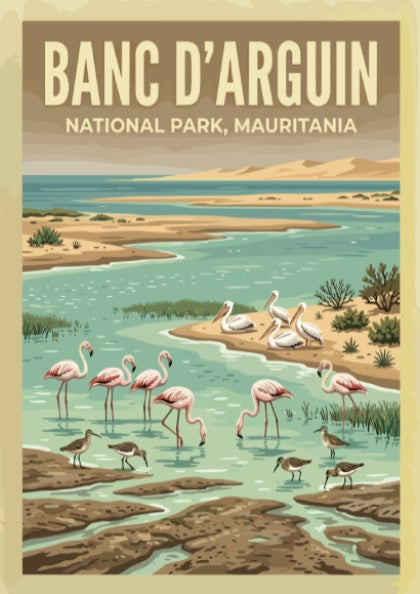 Banc d'Arguin poster featuring flamingos and coastal scenery in vibrant colors