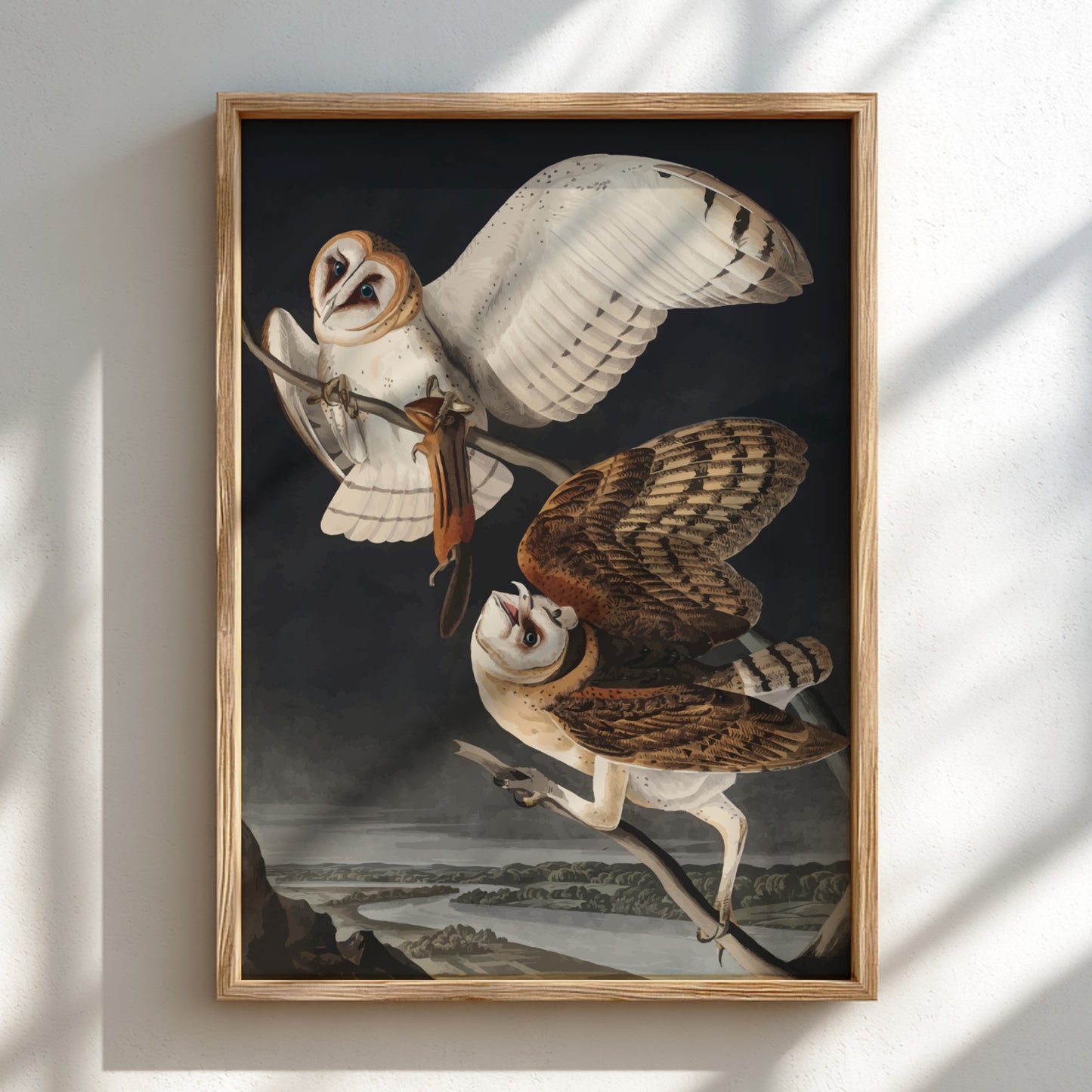 Barn Owl art poster featuring detailed owls in flight, vintage style, dark backdrop, nature theme