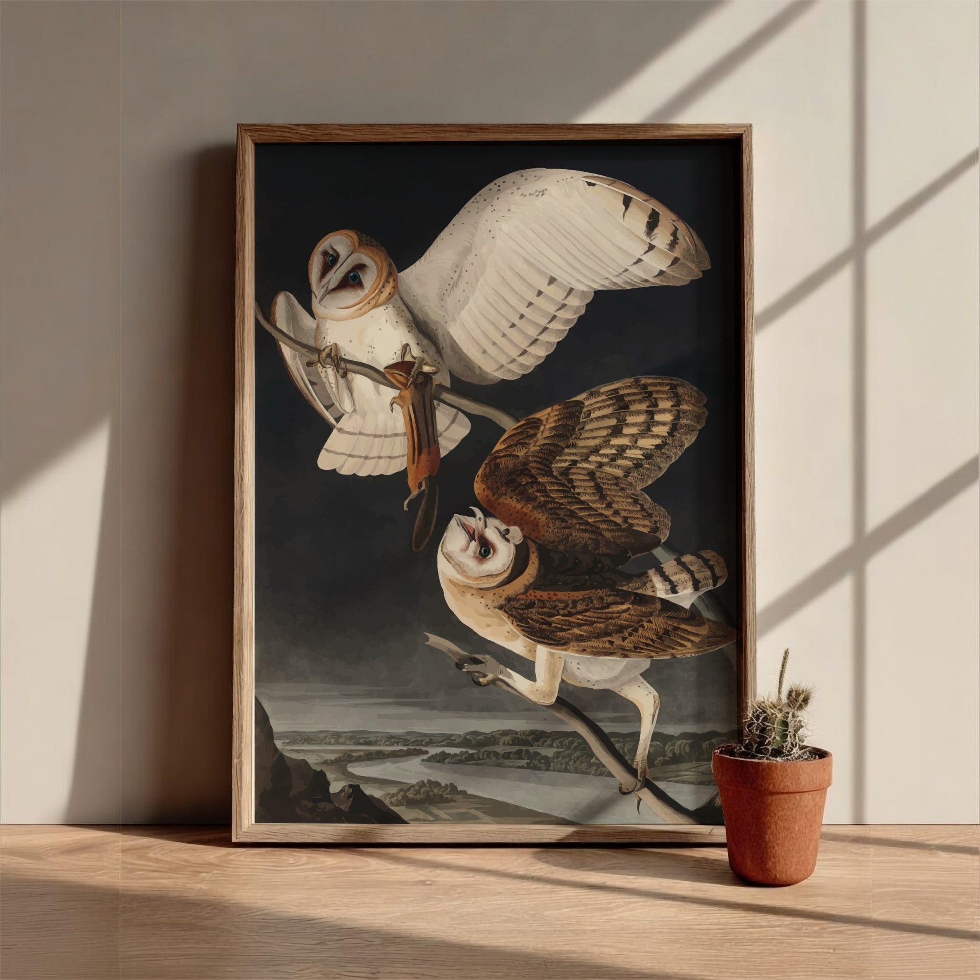 Barn Owl art poster featuring detailed owls in flight, vintage style, dark backdrop, nature theme