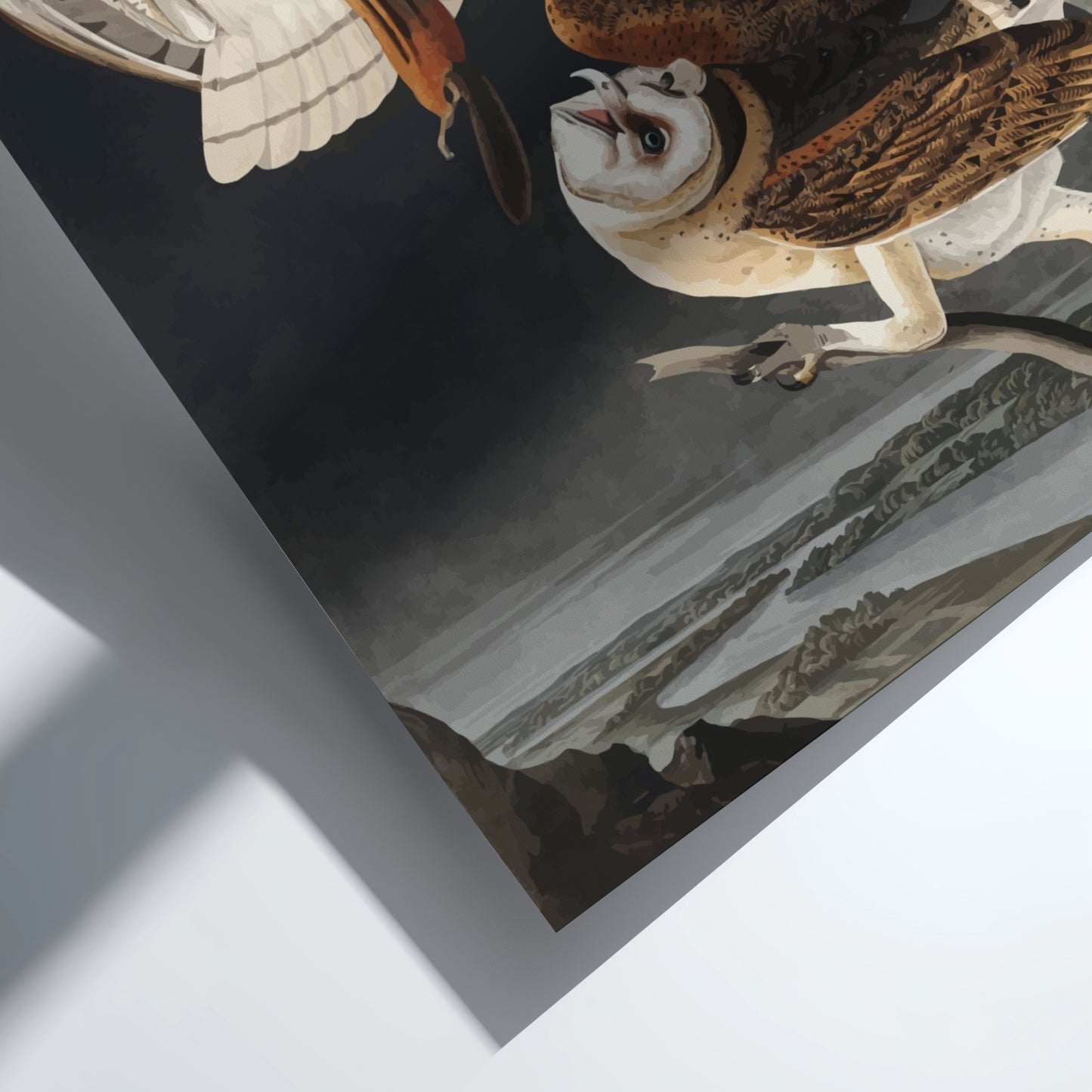 Barn Owl art poster featuring detailed owls in flight, vintage style, dark backdrop, nature theme