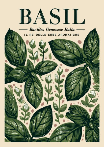 Basil kitchen poster featuring green leaves, botanical style, vintage illustration, perfect for kitchen decor