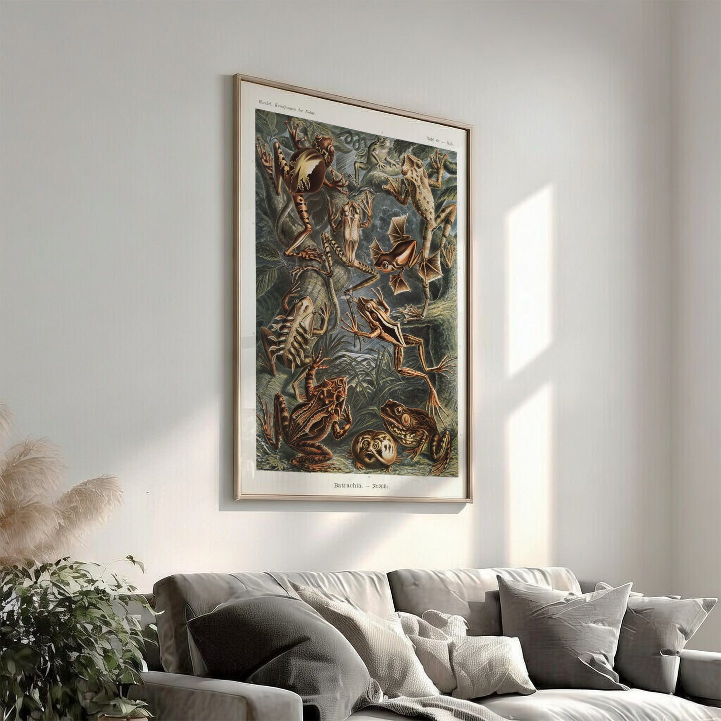 Vintage scientific illustration poster of various Batrachia frogs in earthy tones, detailed and naturalistic.