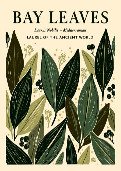 Kitchen poster featuring bay leaves in green tones, botanical style, ideal for home decor.