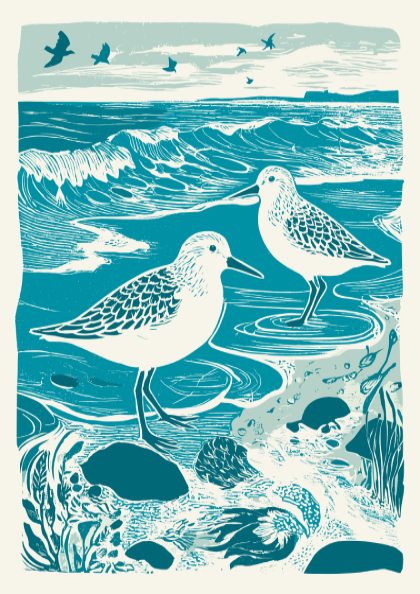 Beach Birds – Coastal Bird Wall Art Print