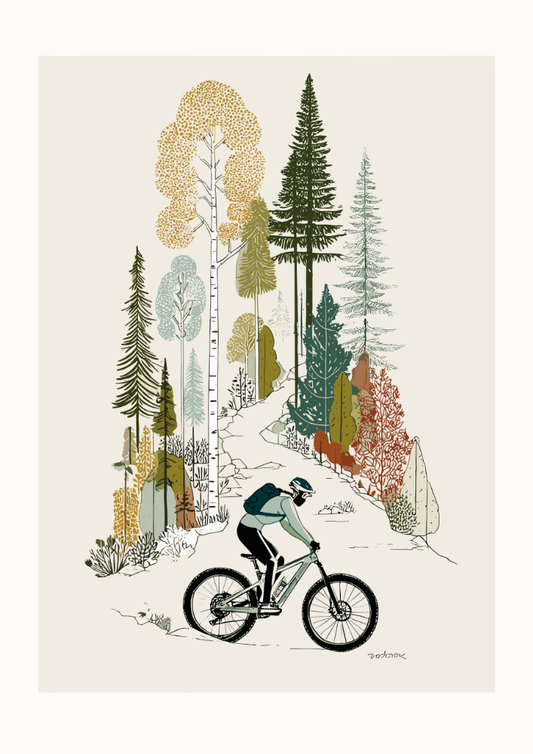 Illustration of a person riding a bike through a forest with colorful trees.