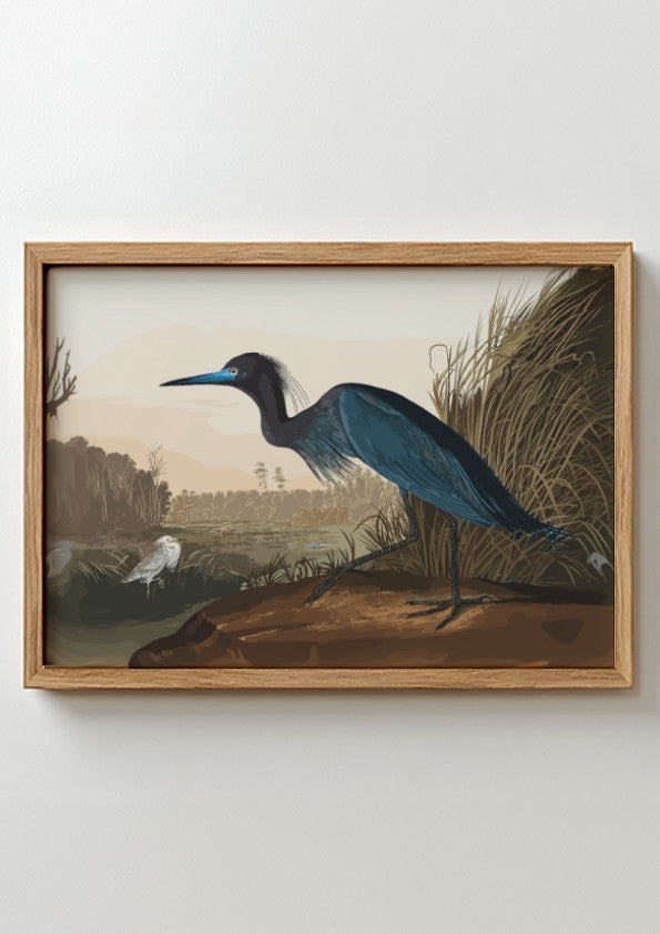 Blue Crane poster featuring nature wall art with soft colors and detailed illustration of a crane