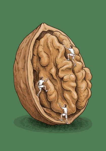 Poster featuring three tiny climbers scaling the textured surface of a large walnut shell.