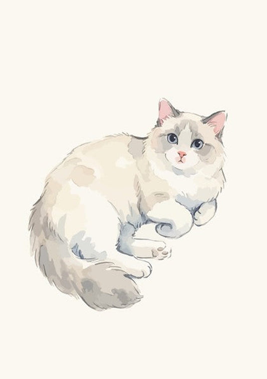 Poster of a fluffy Ragdoll cat with blue eyes in soft watercolour style illustration.