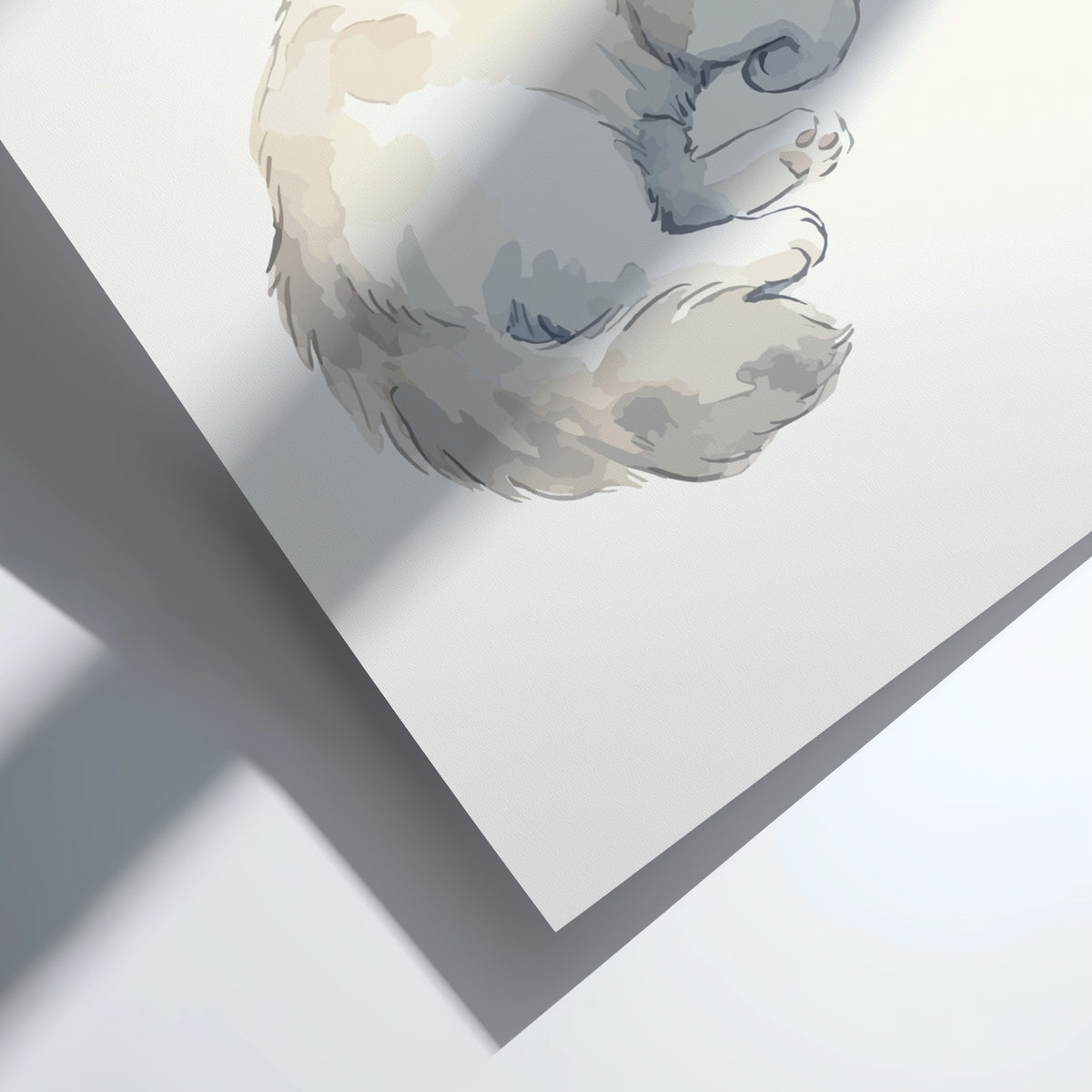 Poster of a fluffy Ragdoll cat with blue eyes in soft watercolour style illustration.