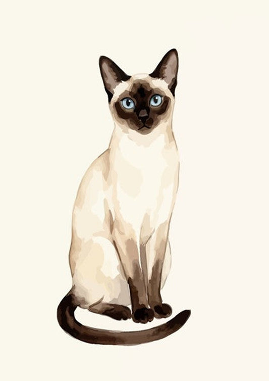 Poster featuring an elegant Siamese cat with striking blue eyes and dark chocolate points.