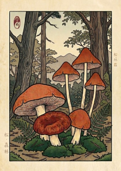 Brown Mushroom Forest Poster showcasing warm earthy tones and intricate details in Japanese art style