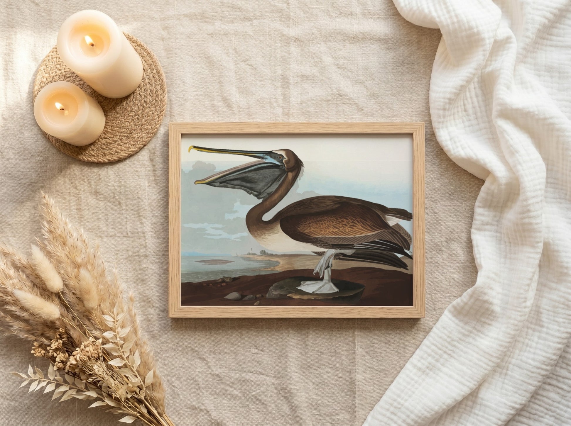Brown Pelican poster featuring vintage Audubon art in rich colors, ideal for bird lovers and home decor.