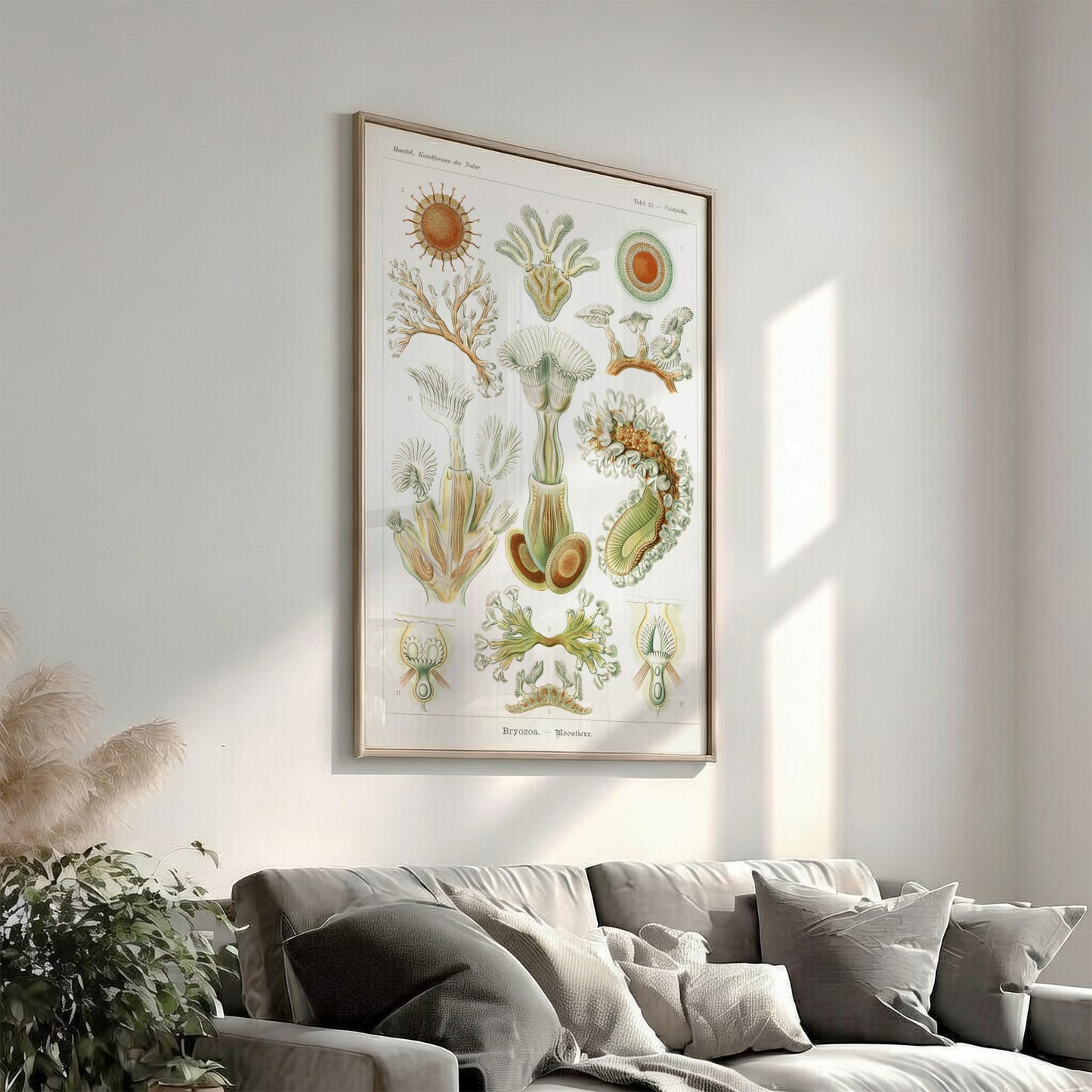 Vintage Bryozoa Moostiere poster featuring detailed scientific illustrations of marine life in green and