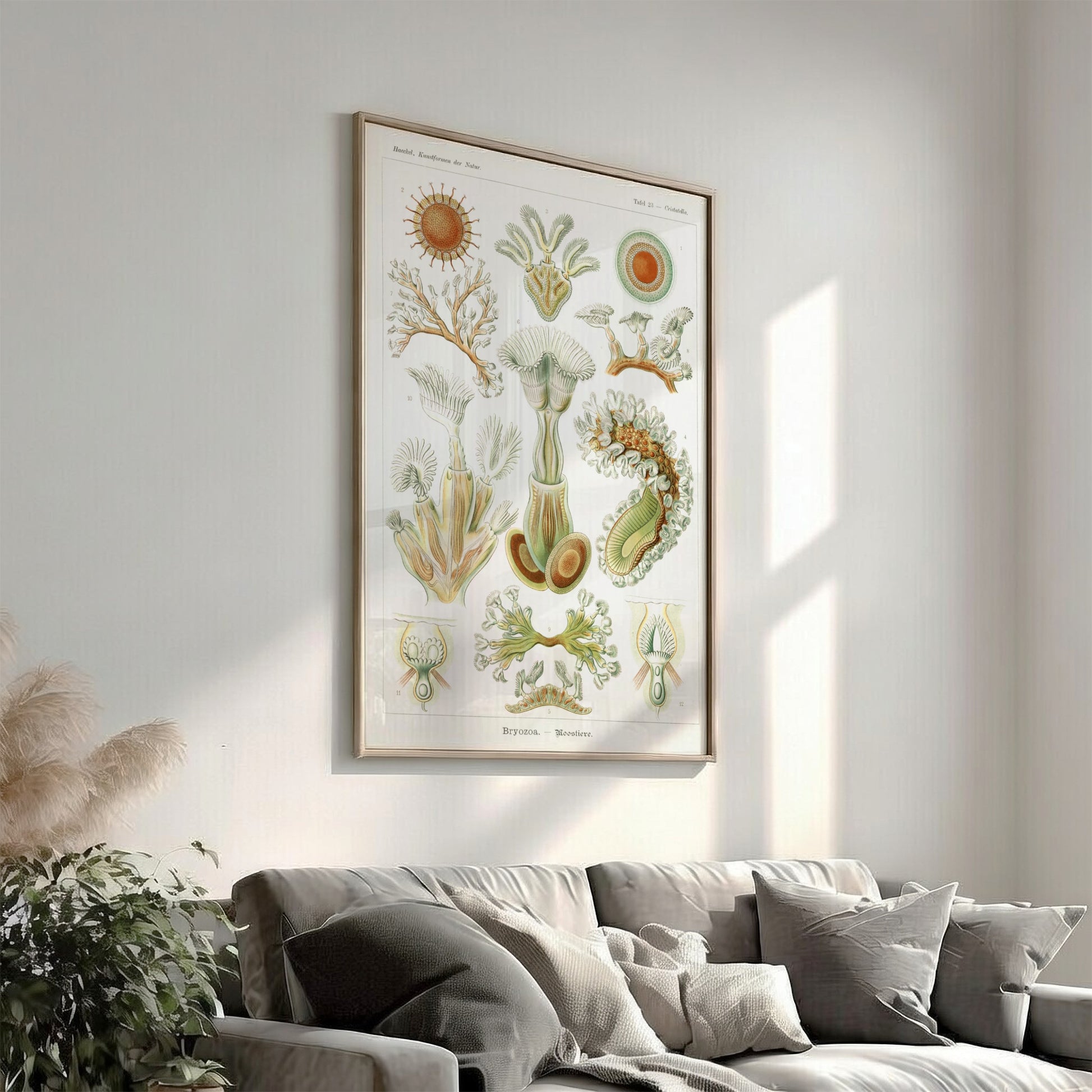 Vintage Bryozoa Moostiere poster featuring detailed scientific illustrations of marine life in green and