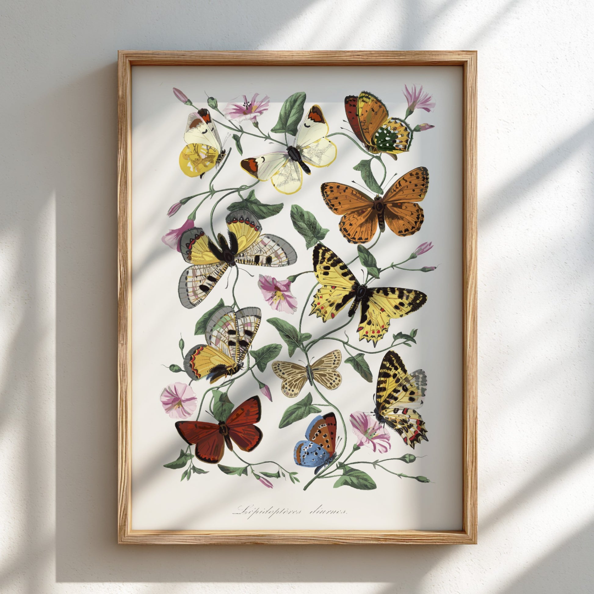 Vintage poster of Paul Gervais' butterfly and moth painting with flowers and foliage.