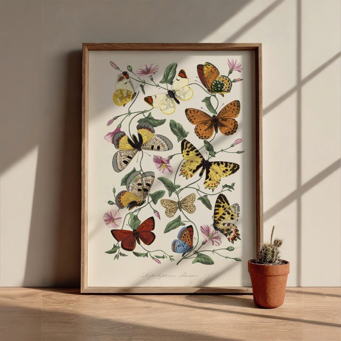 Vintage poster of Paul Gervais' butterfly and moth painting with flowers and foliage.