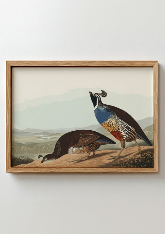 California Partridge poster featuring vintage bird art in earthy tones, perfect for wall decor and